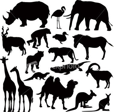 animal sillhouettes animal silhouette silhouette art