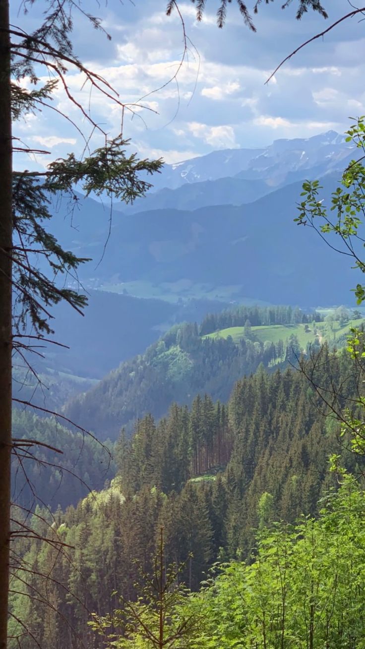 Single urlaub österreich wandern