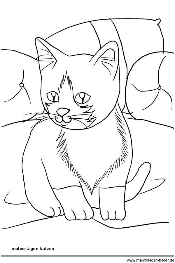Ten Grossartig Katze Malvorlage Anschauung 2020 Katze Zum Ausmalen Ausmalbilder Ausmalbilder Zum Ausdrucken
