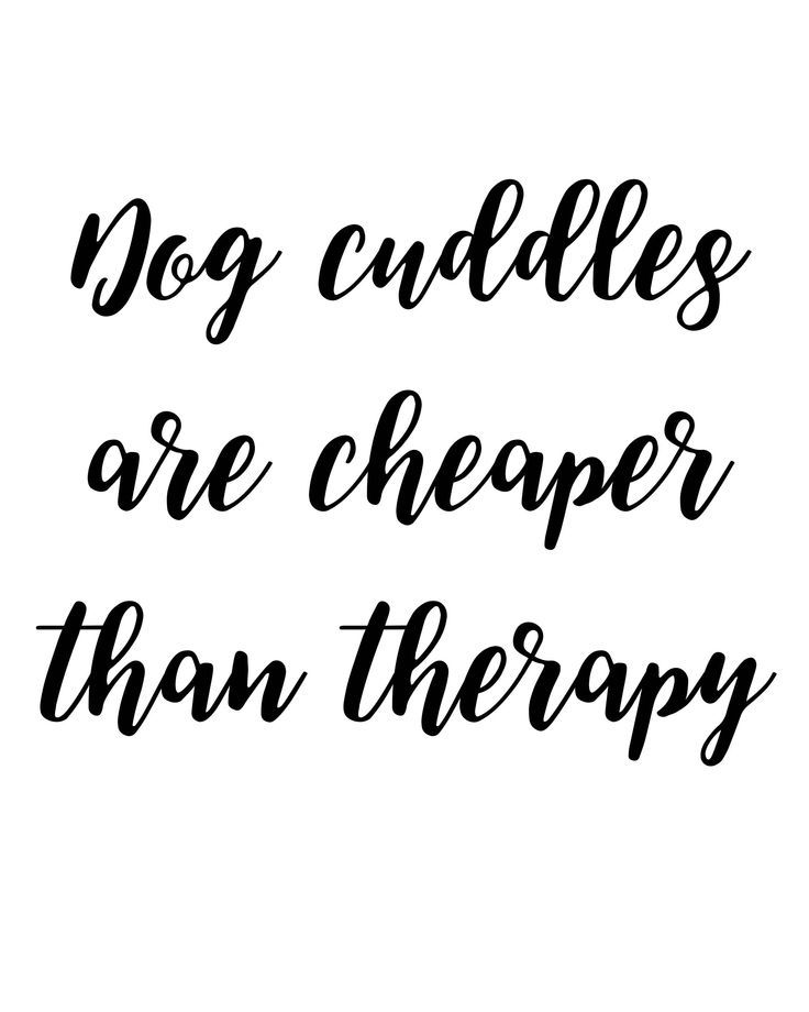 The Words Dog Cuddles Are Cheaper Than Therapy Written In Black Ink On the-words-dog-cuddles-are-cheaper-than-therapy-written-in-black-ink-on