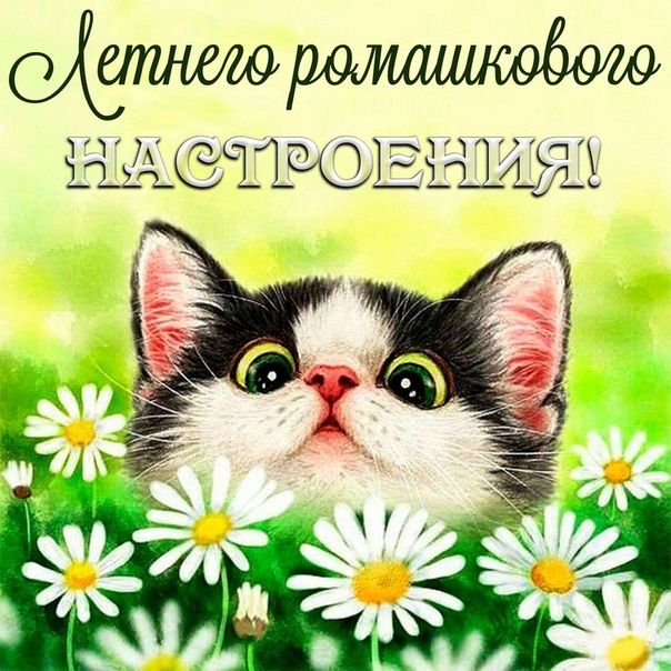 Картинка доброе утро понедельника, днем