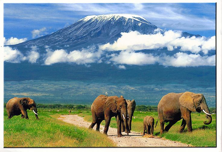 Postcard from Kiyoung in Nairobi, Kenya Postcard, Natural landmarks, Kenya