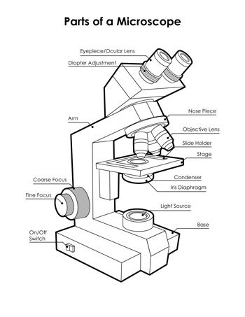 997 best Microbiology images on Pinterest Lab humor, Laboratory - micro sim template 997 best Microbiology images on Pinterest Lab humor, Laboratory - micro sim template