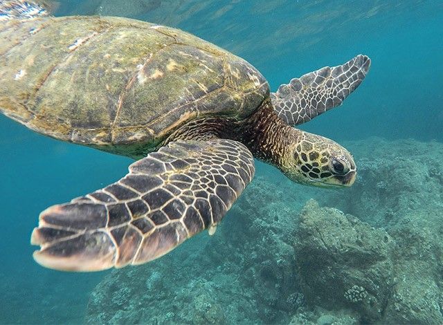 Www Jigsaw Puzzle De Www Jigsaw Puzzle De
