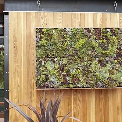 Succulent Wall Art 26 best succulent walls images on pinterest | succulents garden Succulent Wall Art 26 best succulent walls images on pinterest | succulents garden