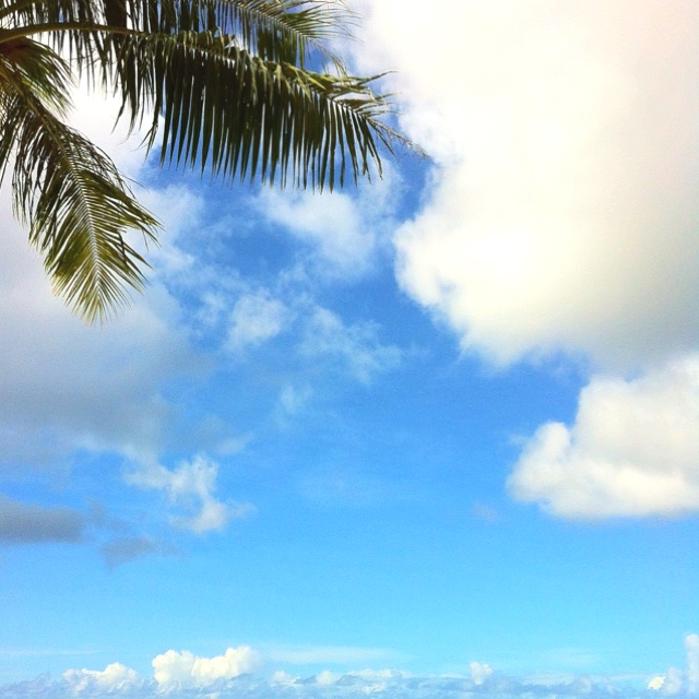 Island Life おしゃれまとめの人気アイデア Pinterest Joseph Riley Island Life おしゃれまとめの人気アイデア Pinterest Joseph Riley
