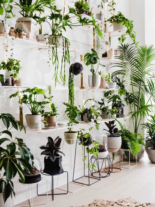 Most Popular Interior Design Blogs 177 best interior planting images on pinterest | architecture Most Popular Interior Design Blogs 177 best interior planting images on pinterest | architecture