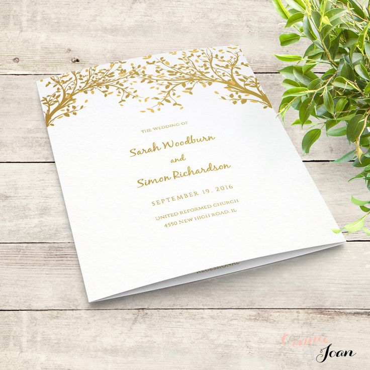 84 best Wedding programs images on Pinterest Wedding program - wedding brochure template 84 best Wedding programs images on Pinterest Wedding program - wedding brochure template