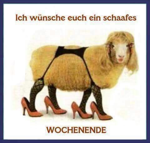 Happy Freitag Happy Freitag