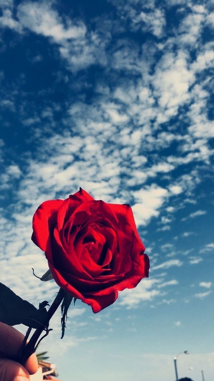 Le Fond D Ecran Good Mood 9 Hipster Wallpaper Iphone Wallpaper