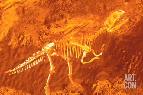 200-Million-Year Old Dinosaur Egg Hatches in Berlin Museum