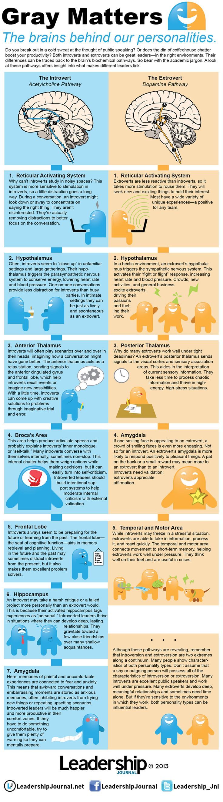 how to know if you are an introvert how to know if you are an introvert