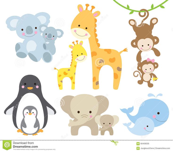 animal vectors