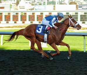 Domination humiliation sado maso Zenyatta secretariat frozen sperm