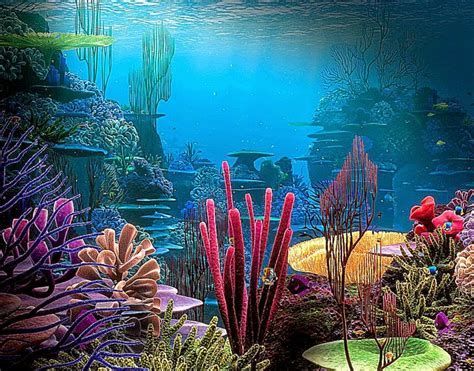 image result for animated coral reef wallpaper fish backgrounds