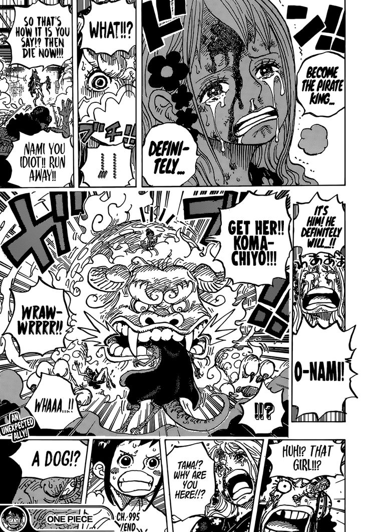 One Piece Chapter 995 One Piece Manga One Piece Chapter Read One Piece Manga One Piece Chapter 995 One Piece Manga One Piece Chapter Read One Piece Manga