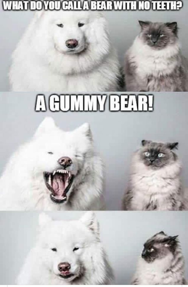 What Do You Call A Bear With No Teeth By Arseniic On Deviantart Funny Puns Corny Jokes Puns Jokes