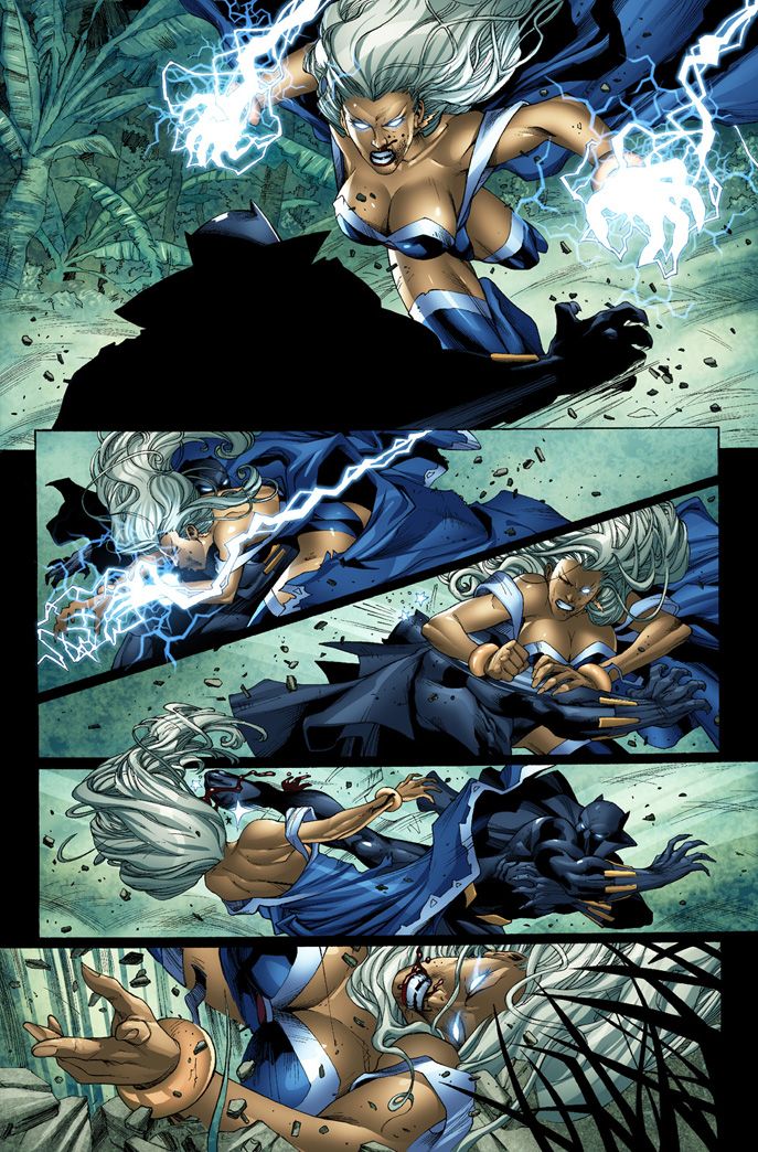 Image result for Storm and Black Panther fighting