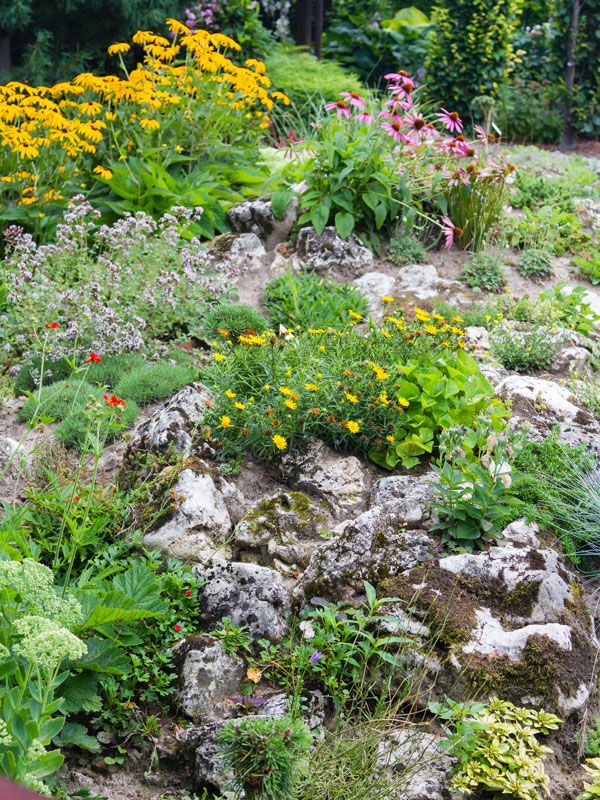 Garden Design Rockery best 25+ rockery garden ideas on pinterest | succulent rock garden Garden Design Rockery best 25+ rockery garden ideas on pinterest | succulent rock garden