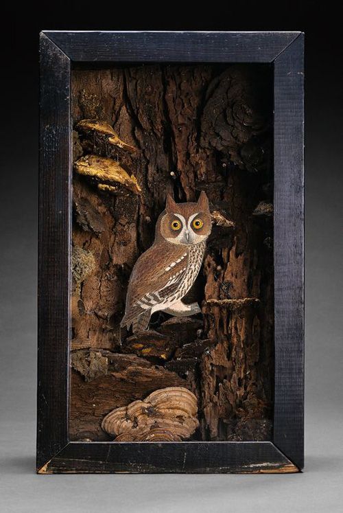 13 best joseph cornell images on pinterest owl box 13 best joseph cornell images on pinterest owl box