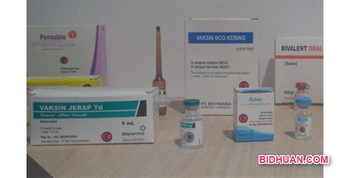 Pt Bio Farma Jamin 100 Vaksinnya Tak Dipalsukan Berbagi Cerita Opini Edukasi Dan Hiburan Hiburan