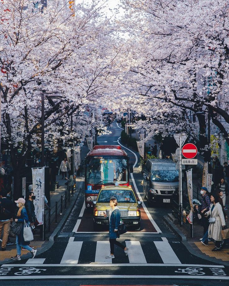 From tokyo to japan