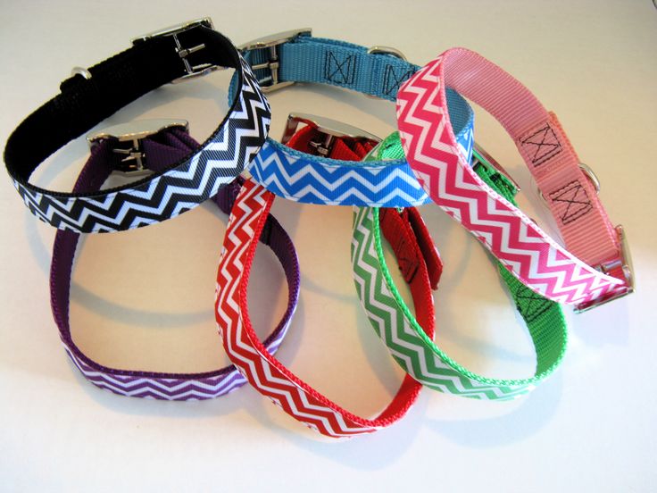 Zamora S Dog Collars Zamora S Dog Collars