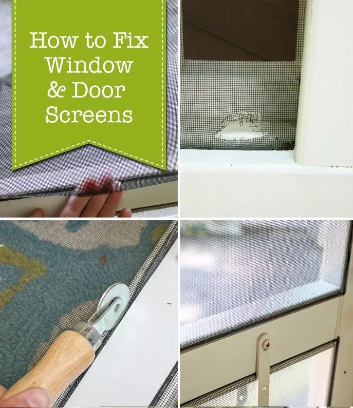 How to Fix Window & Door Screens Screen door repair, Windows, Fix it