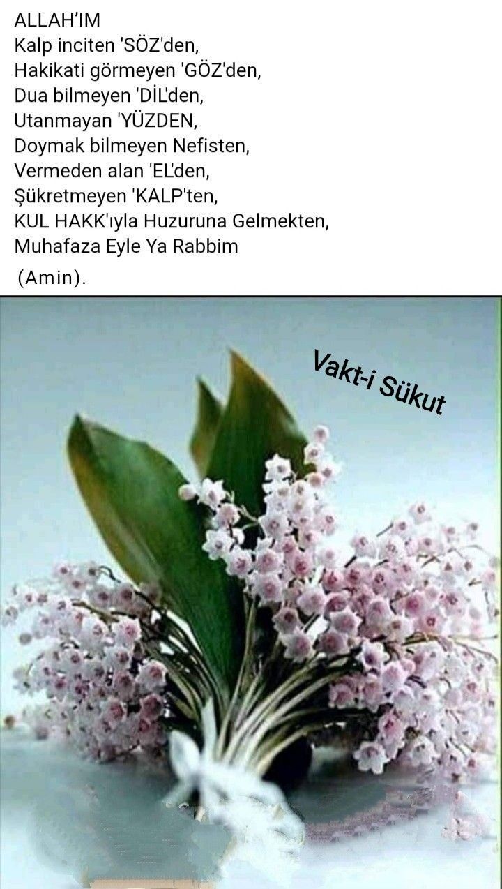 Fatih Sayilir Adli Kullanicinin Guzel Soz Panosundaki Pin 2021 Dualar Sukur Sana Rabbim Guzel Soz Fatih Sayilir Adli Kullanicinin Guzel Soz Panosundaki Pin 2021 Dualar Sukur Sana Rabbim Guzel Soz