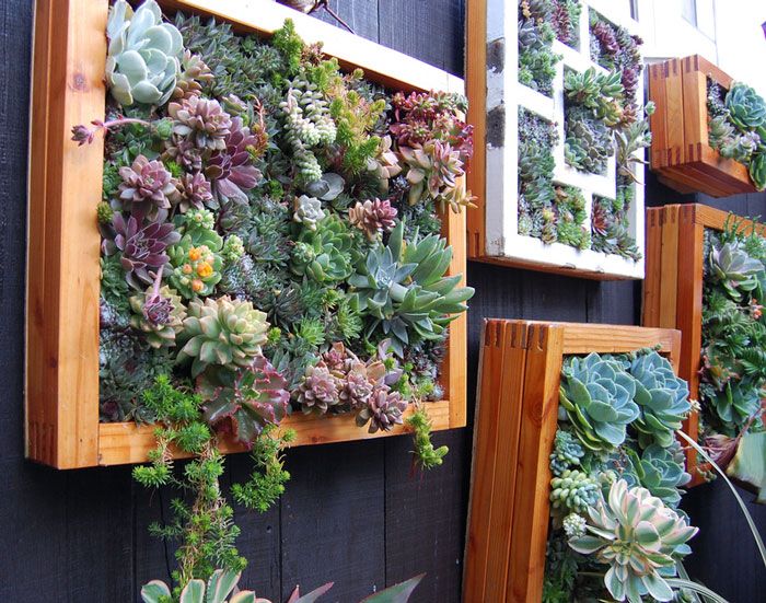 Best 25+ Fence Decorations Ideas On Pinterest Privacy Fence 55+ People Who Took Their Backyard Fences To Another Level - Best 25+ Fence Decorations Ideas On Pinterest Privacy Fence