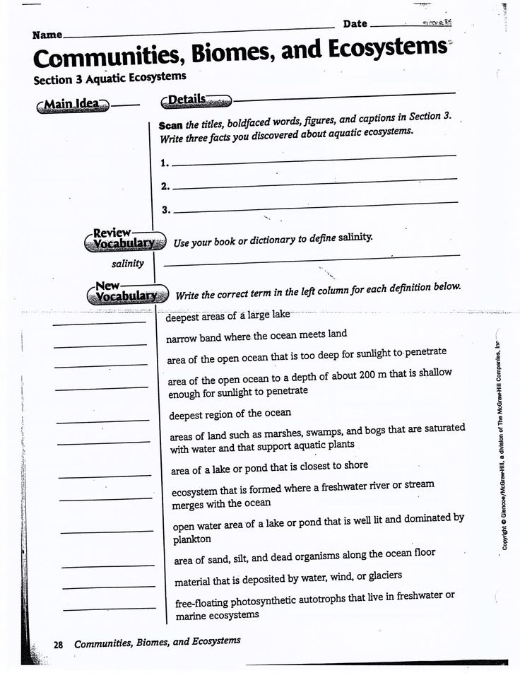 Ecosystem Worksheet Answer Key Worksheet Ecosystem Doc in 2020