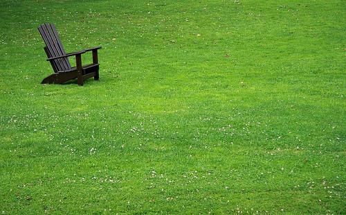 White Clover Landscaping Dwarf Lawn Landscape White Clover Landscaping Dwarf Lawn Landscape Pinterest And Gr Alternative