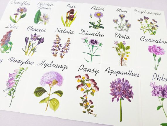 Purple Flower Table Cards Another Option Use Names Purple Flower Table Cards Another Option Use Names Instead Of Numbers For Tables Wedding Plans Pinterest And