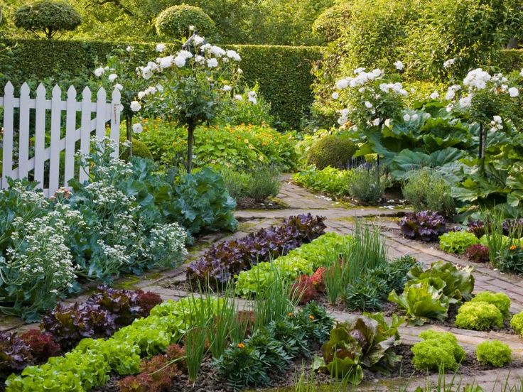 Garden Design Triangular Plot 671 best beautiful vegetable gardens images on pinterest | veggie Garden Design Triangular Plot 671 best beautiful vegetable gardens images on pinterest | veggie