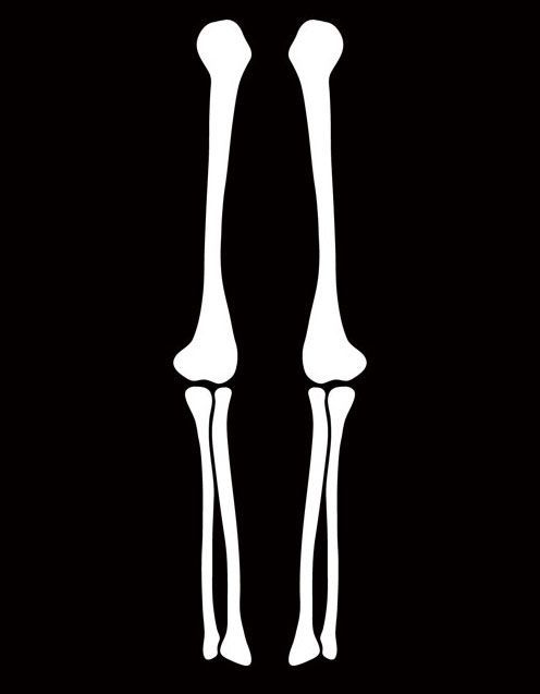 Image result for skeleton legs template costume | Skeleton arm, Texture