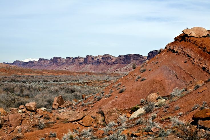 Best Dog Friendly Hikes Near Moab Best Dog Friendly Hikes Near Moab