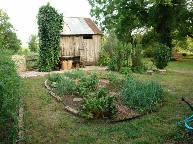 1324 best Vegetable Gardening images on Pinterest | Vegetables ... - vertical vegetable garden design 1324 best Vegetable Gardening images on Pinterest | Vegetables ... - vertical vegetable garden design