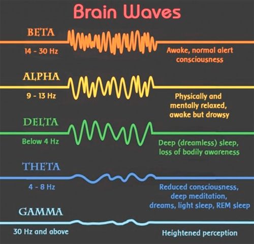 290 Brain Ideas In 2021 Brain Psychology Neuroscience