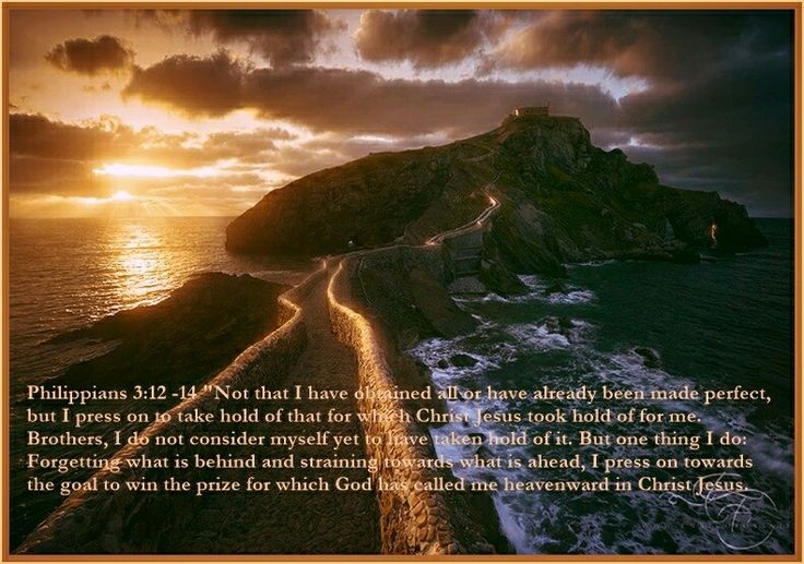 Philippians 31214 Philippians, Scripture, Perfection Philippians 31214 Philippians, Scripture, Perfection