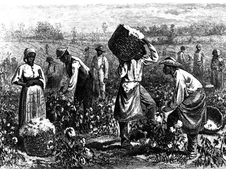 southern slaves vs northern laborers essay Ebscohost serves thousands of libraries with premium essays, articles and other content including northern 'wage slavery' vs southern slavery get access to over 12 million other articles. southern slaves vs northern laborers essay Ebscohost serves thousands of libraries with premium essays, articles and other content including northern 'wage slavery' vs southern slavery get access to over 12 million other articles.