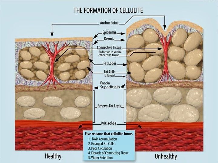 Do you lose or gain weight with an underactive thyroid photo 2