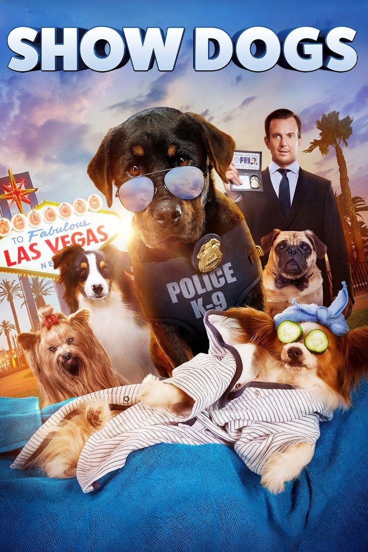 These Dog Movies Are Perfect For Kids And Adults in 2020 Dog movies