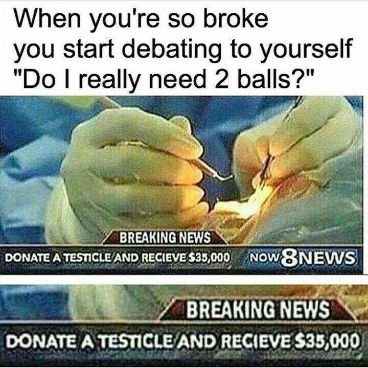491 best lol, wut images on pinterest funny photos, funny stuff 59a23309666c8d304a03372f187589e7 wut funny stuff 491 best lol, wut images on pinterest funny photos, funny stuff