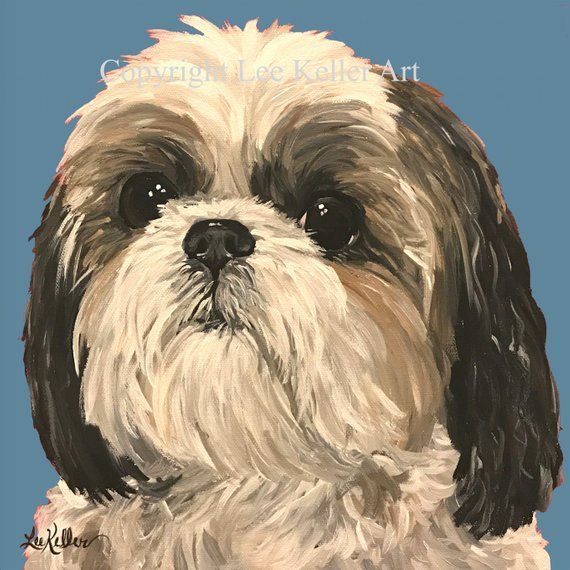 Shih Tzu Art Print From Original Painting Dog Shih Tzu Dog