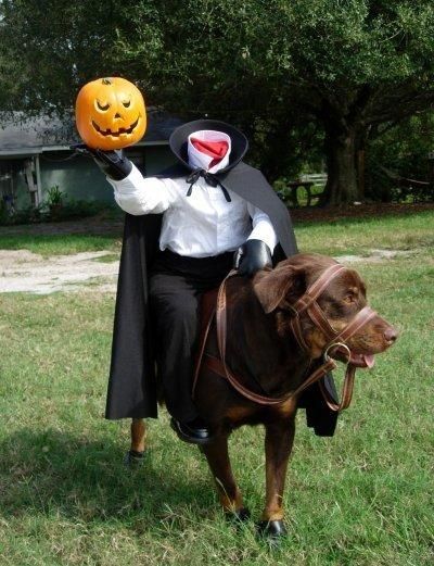 diy headless horseman dog costume diy dog halloween costumes make your own halloween costume for your dog scary dog costumes unique pet costume - Sleepy Hollow Halloween Costumes diy headless horseman dog costume diy dog halloween costumes make your own halloween costume for your dog scary dog costumes unique pet costume - Sleepy Hollow Halloween Costumes