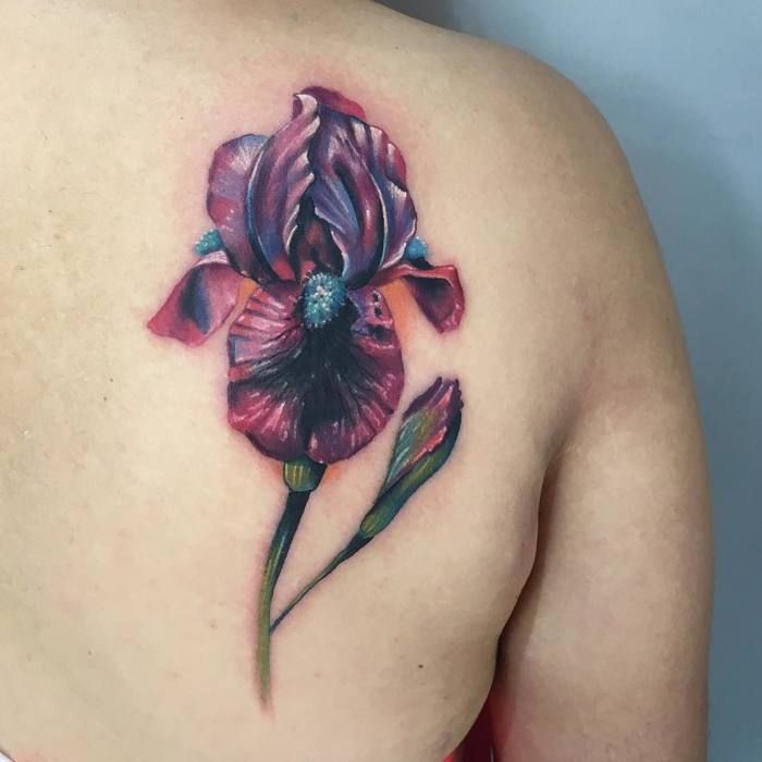 the 25 best iris tattoo ideas on pinterest iris flower tattoos the 25 best iris tattoo ideas on pinterest iris flower tattoos