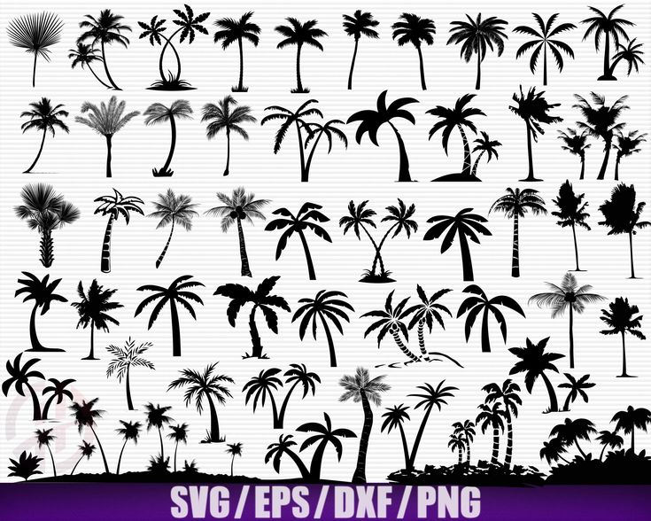 Cuttable files Instant download Oh Hey Vacay svg Ocean svg Vacation Beach Summer svg File for Cricut Sea svg Silhouette Vector