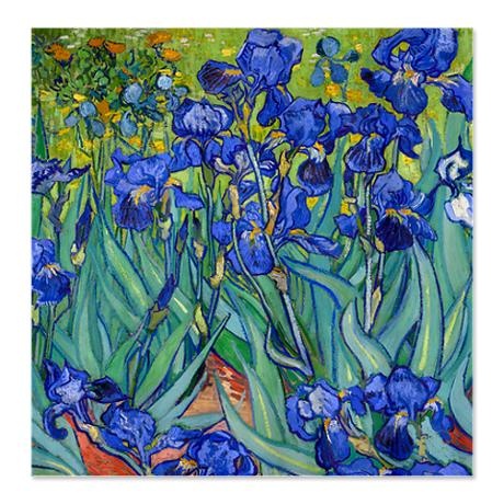 Van Gogh Irises 1889 Shower Curtain Cafepress Flowers Art Van Gogh Irises 1889 Shower Curtain, Van Gogh Irises Shower Curtain