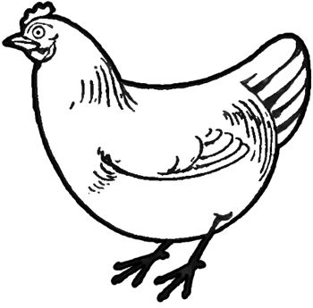 how to draw chickens hens with easy step by step drawing tutorial how to draw chickens hens with easy step by step drawing tutorial drawing pinterest hens tutorials and drawings