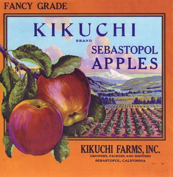 GENUINE FRUIT CRATE LABEL VINTAGE CALIFORNIA FRUITS 1930S SCARCE LOOMIS IMAGE